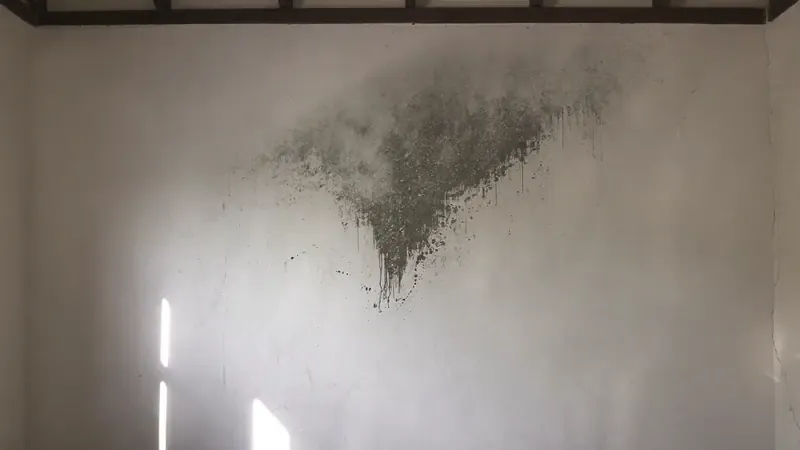 Damp stain and mould spreading from a ceiling corner onto a painted wall