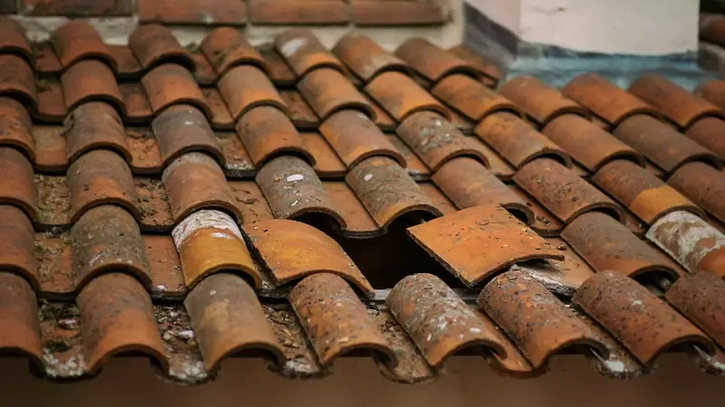 Telhas de canudo deslocadas num telhado envelhecido, deixando uma abertura escura para o desvão